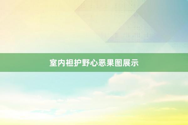 室内袒护野心恶果图展示